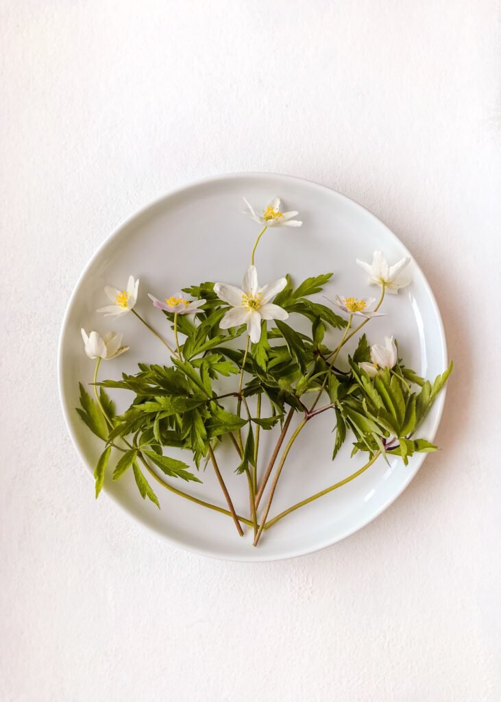 Flores blancas con tallos sobre un plato blanco